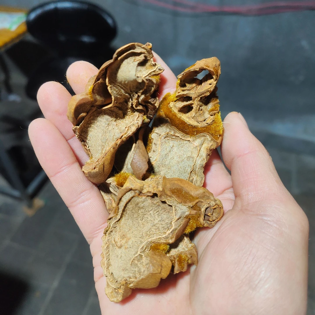 1【金-丝-蕨-菇】净含量250g-1500g【阿虎现收】