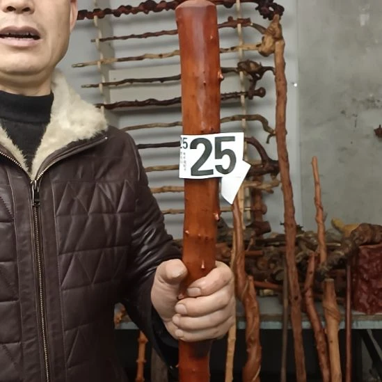 t***n香榧木贵州檬子木   铁马鞭   根艺  半成品