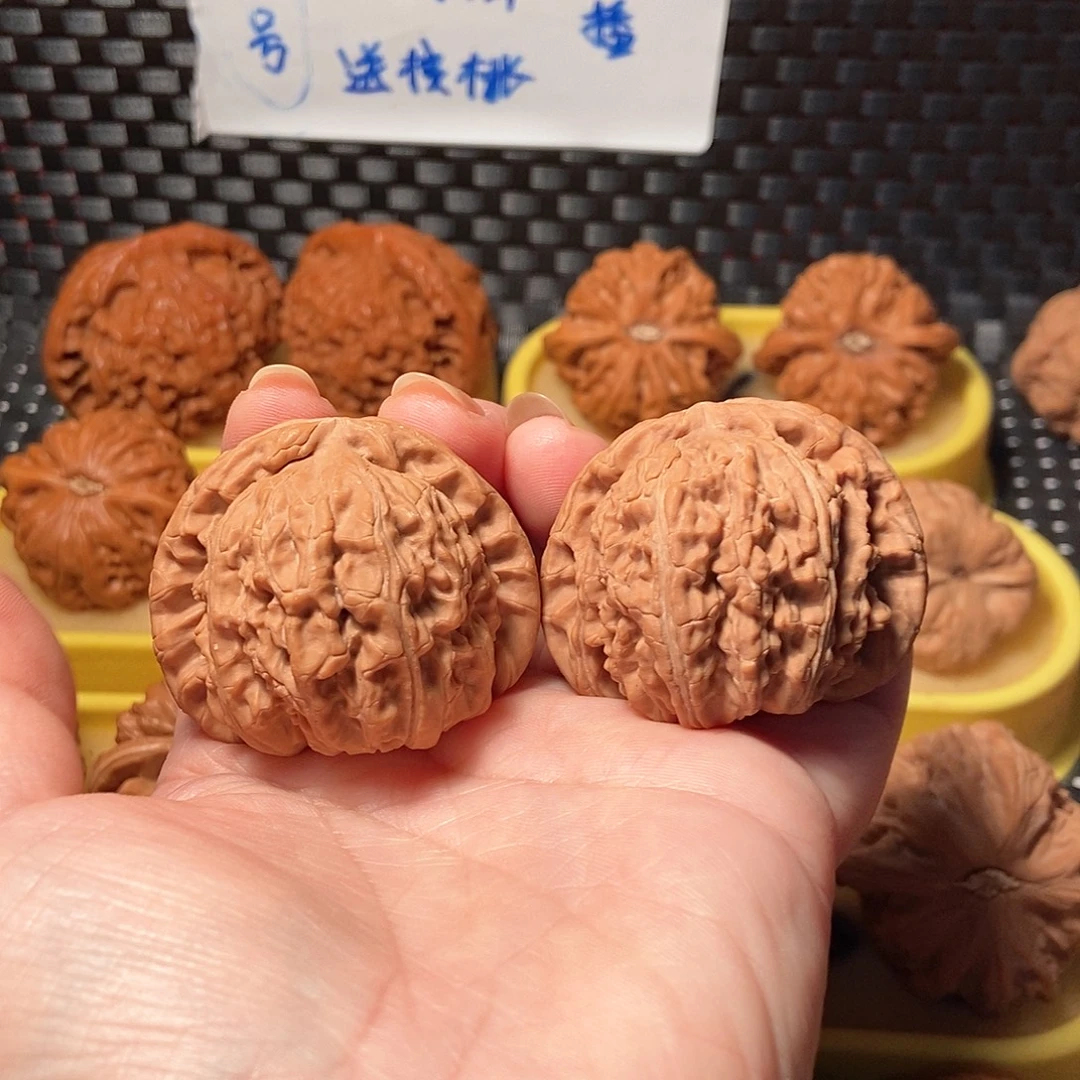 文玩核桃白狮子11号