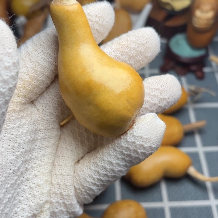 尚***玩坑666666666666666