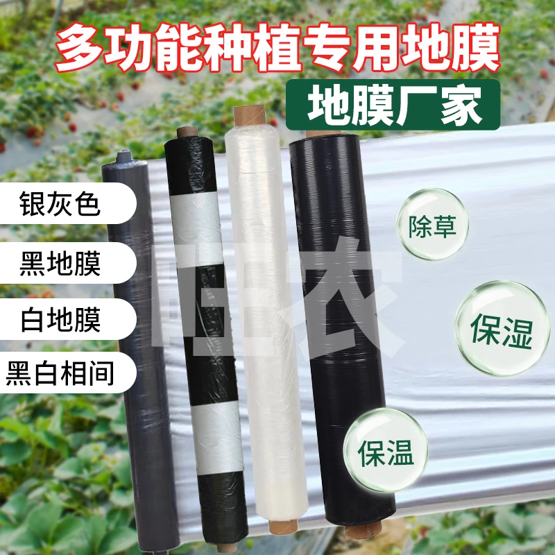白地膜黑地膜银黑地膜黑白农用除草保温保湿蔬菜大棚种植育苗防草