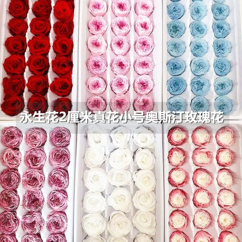 永生玫瑰花头【处理】DIY浪漫手工礼盒制作花材 B级花型