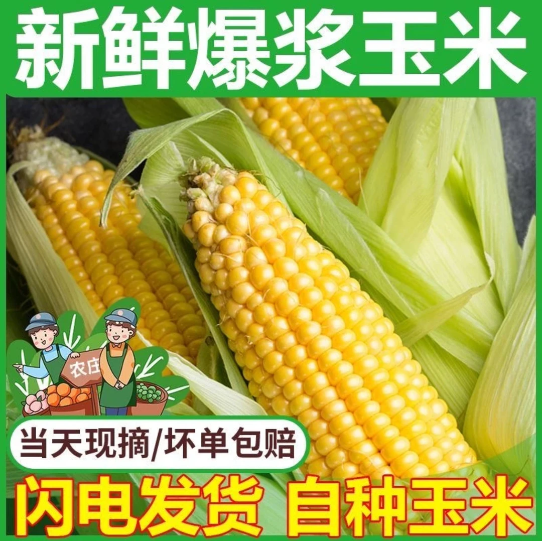 【爆甜爆浆水果玉米】新鲜可生吃甜脆水果玉米现摘现发当季