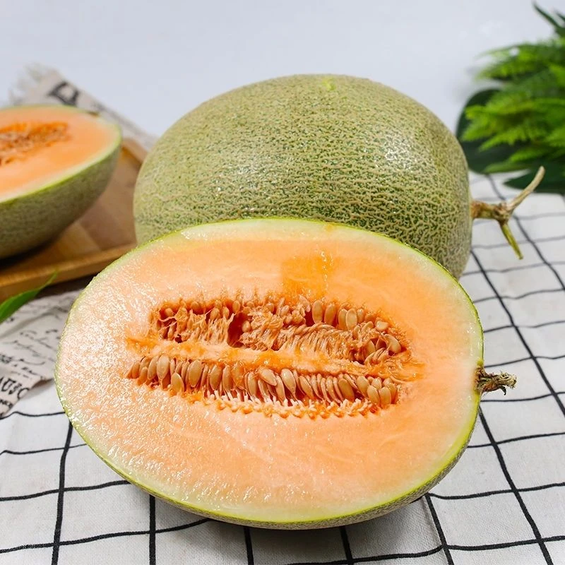 {爆甜}海南沙地小蜜-4个(1个约3斤-3.5斤)