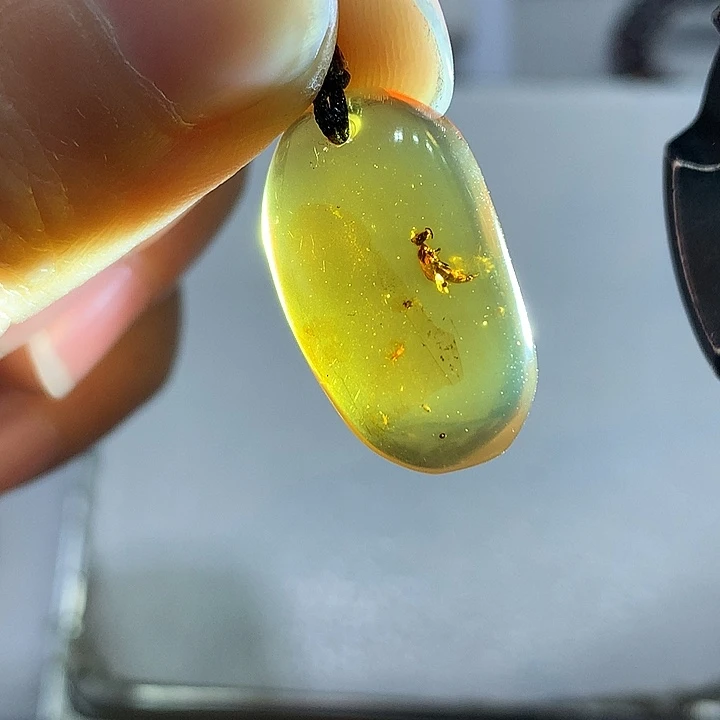 琥珀未镶嵌裸石姬蜂手机挂