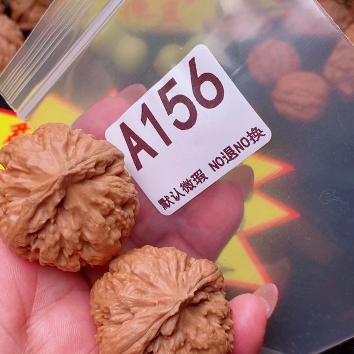 霸王龙37尺156号瑕疵