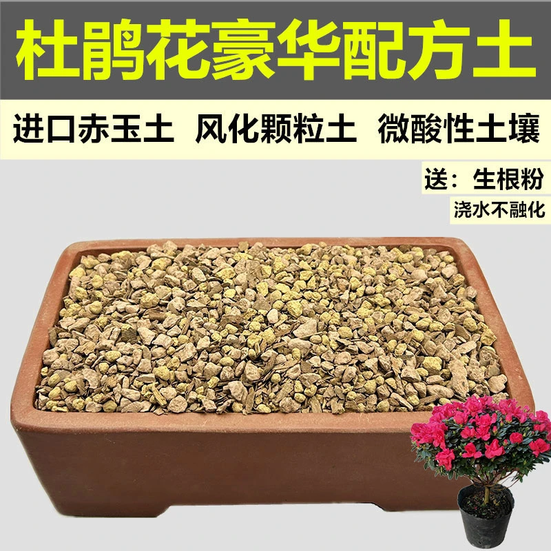 杜鹃花专用土盆栽盆景花土赤玉土风化土颗粒土酸性红沙土种植土