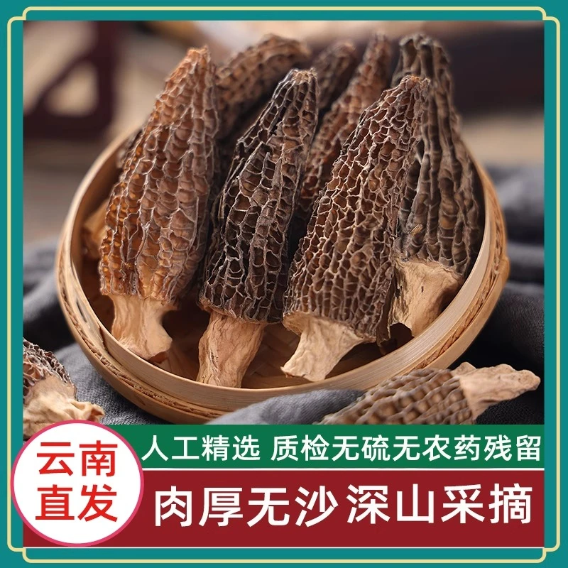 黑标主厨云南高山羊肚菌干货香格里拉产地2025新鲜羊肚菌干货