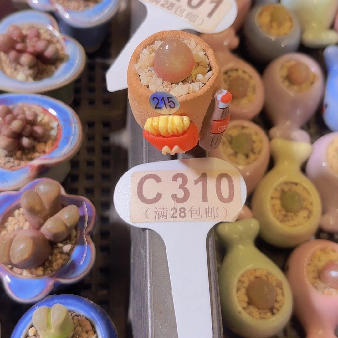 C310灯泡一物一拍