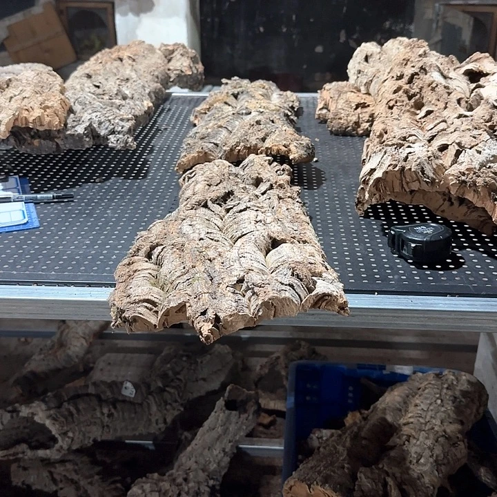 黑***柚完全开放一物一拍一物一发