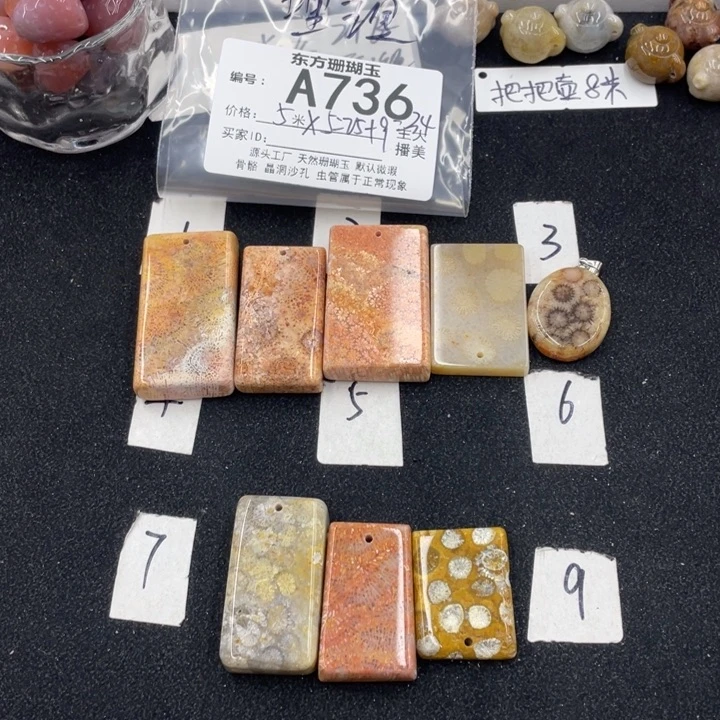 硅化珊瑚（珊瑚玉）颈饰合金L***理