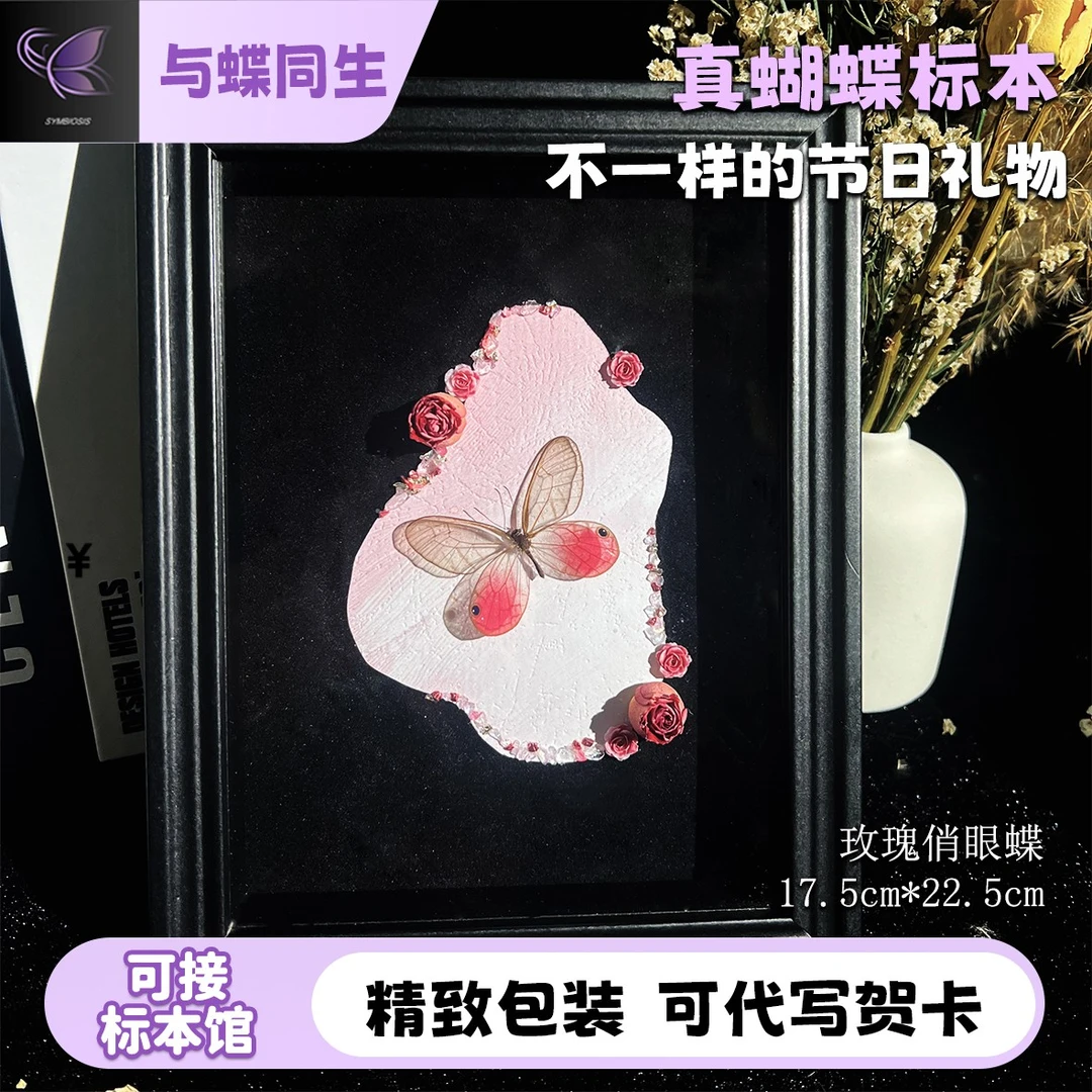 玫瑰绡眼蝶真蝴蝶标本情人节生日送男女朋友节日礼物家居装饰品