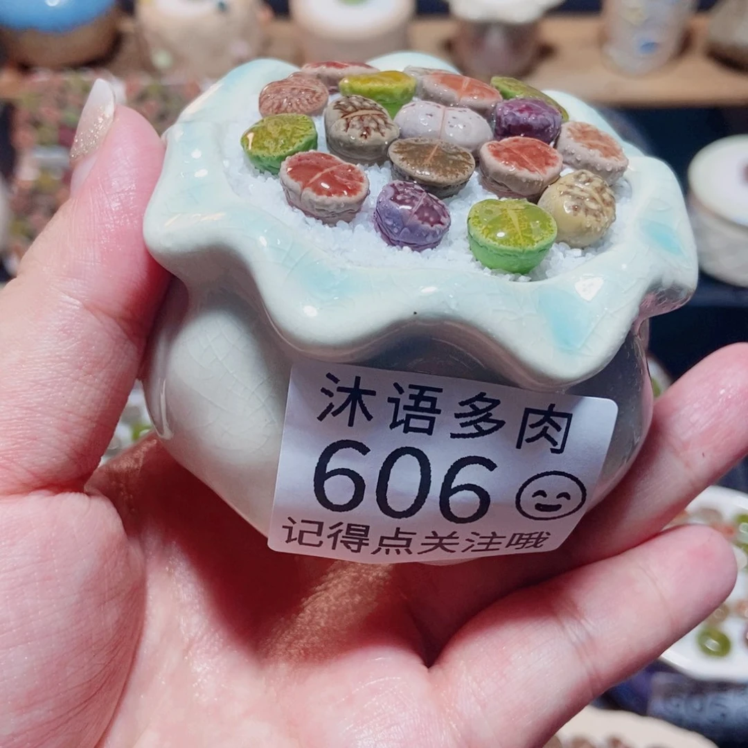 一物一拍 所见即所得606
