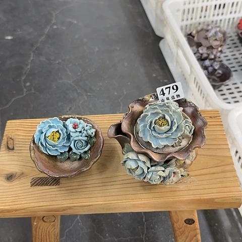 小***尼山泉造物手工制作柴烧479一套