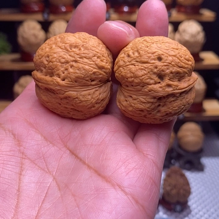 木质类云铁树皮元宝81号