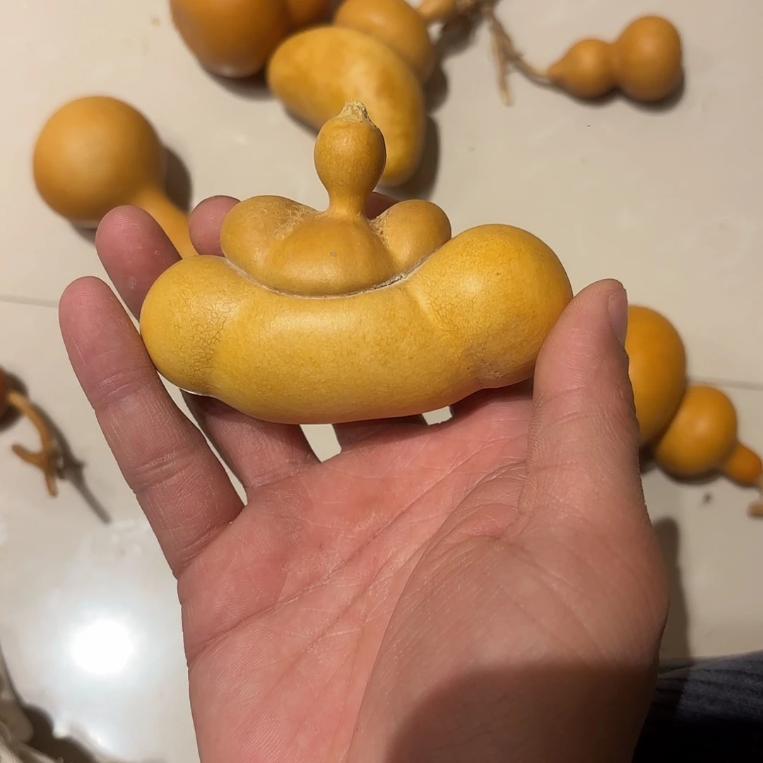 晚***舟葫芦111111111111