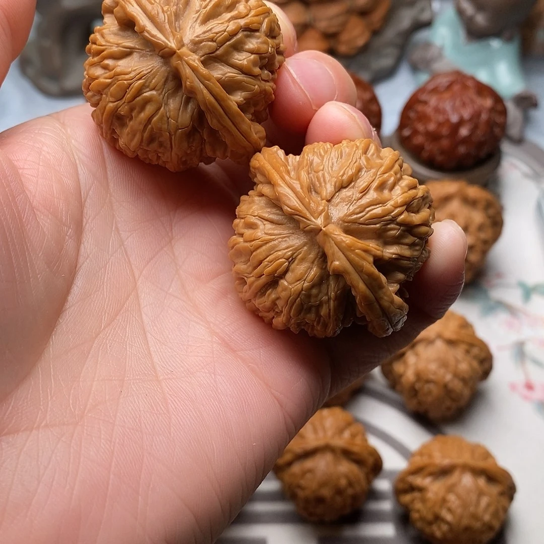 谁***眼文玩核桃把件白狮子