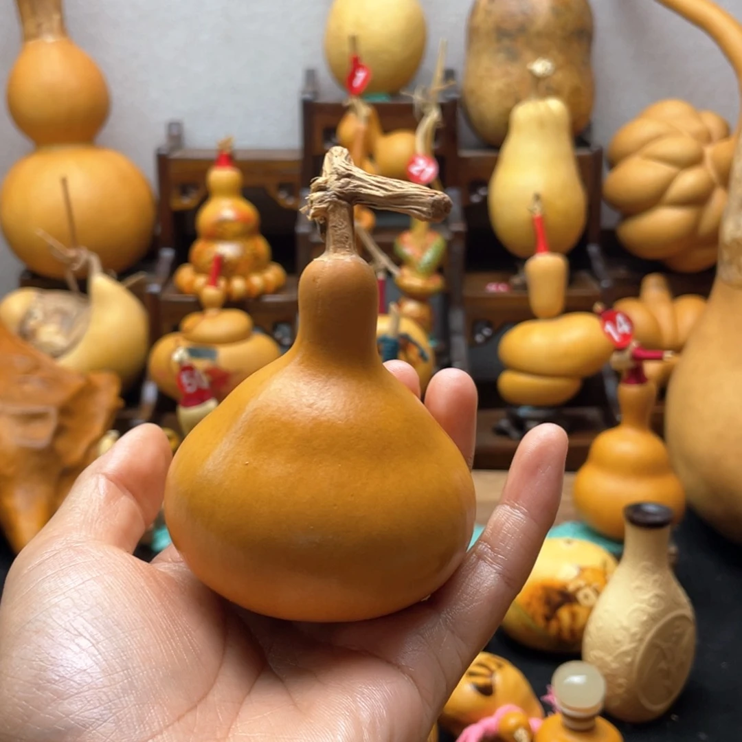悠***仔大自然的秘密是什么呢我