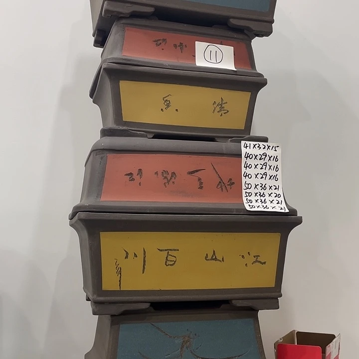 11一家漏家漏记爱哭哭