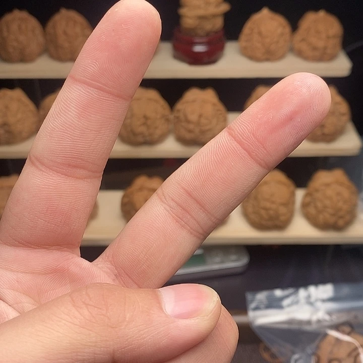 核桃蛤蟆头固定链接