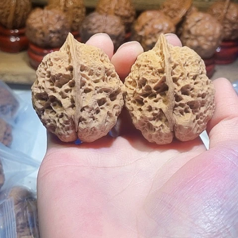 旁***者把件文玩核桃霸王龙带彩磕尖差克重43左右
