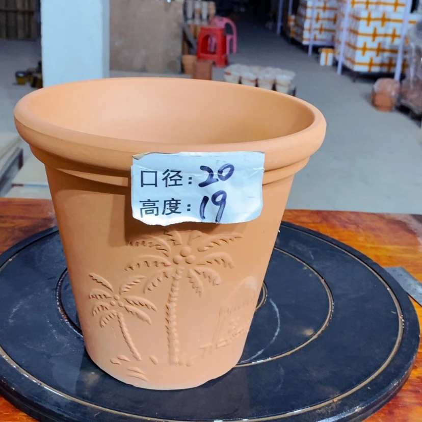 【闪购商品】椰树20×19-1