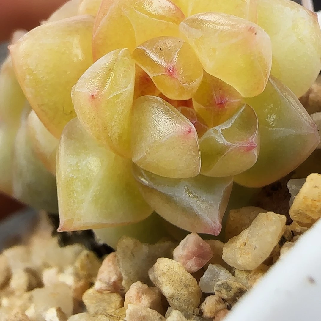 506号哈哈哈哈哈哈