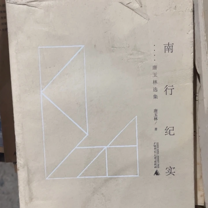 南行纪实正版微瑕书籍