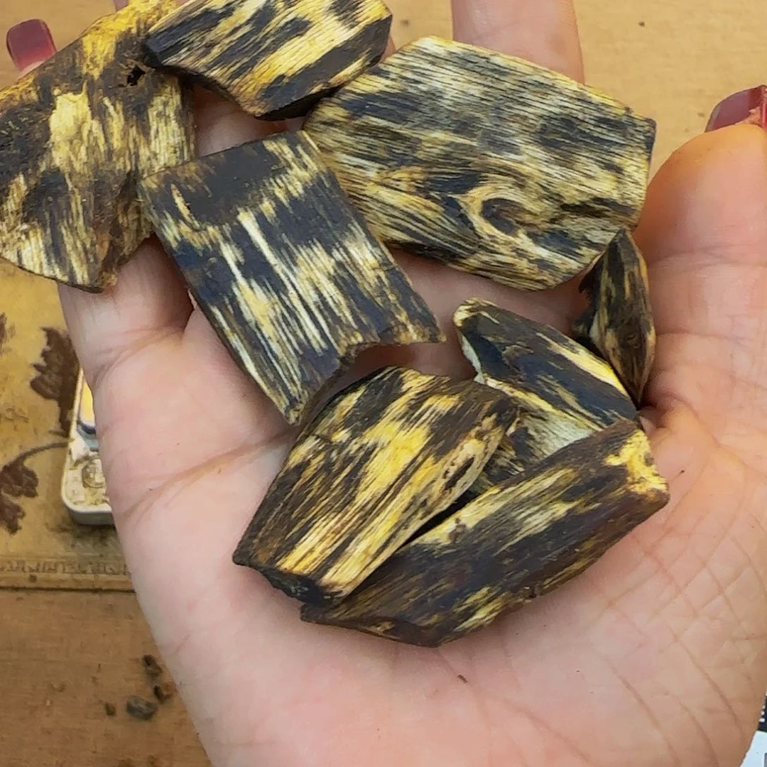 沉香沉香碎屑?****海南陆河高油漏油货25g