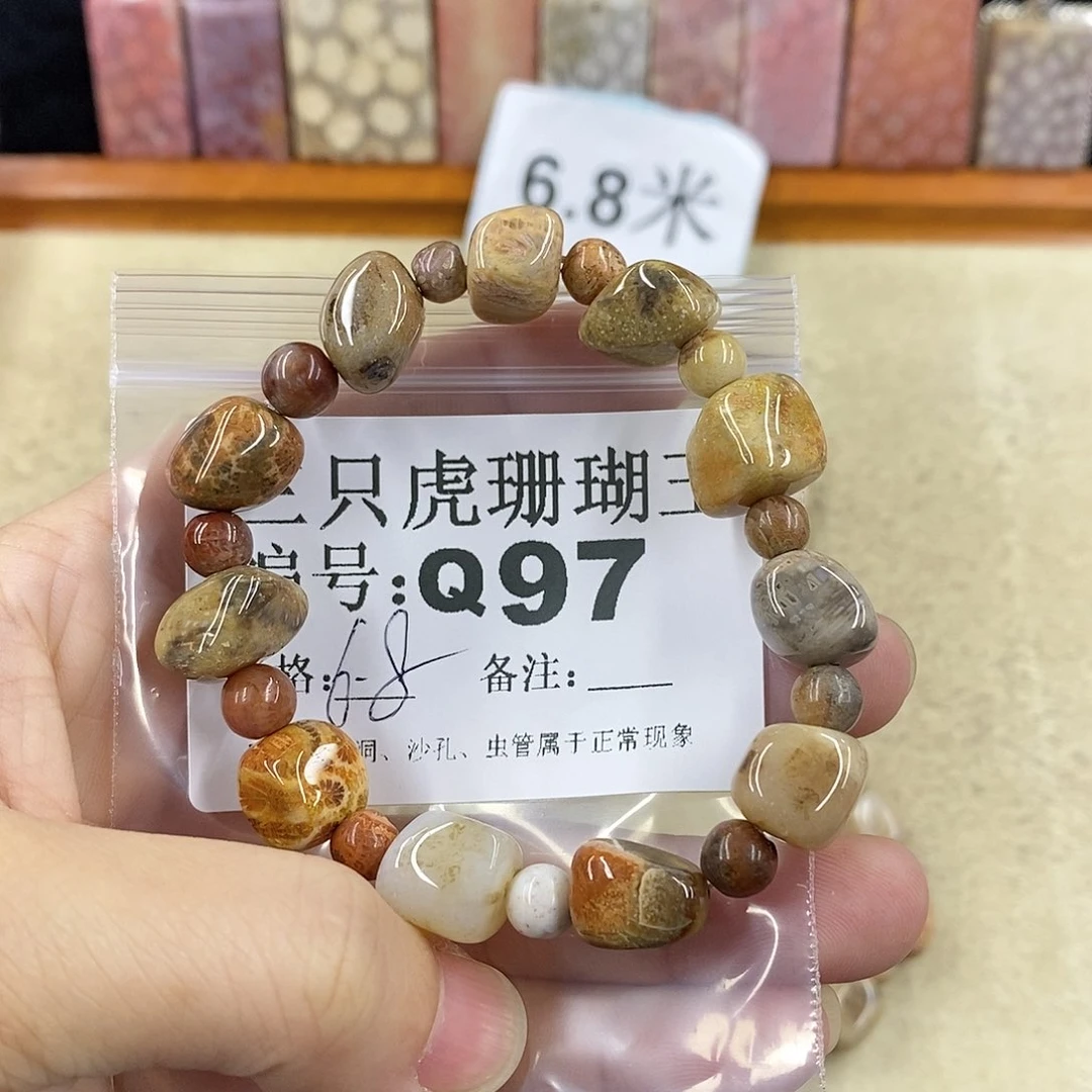 硅化珊瑚（珊瑚玉）1未镶嵌?****