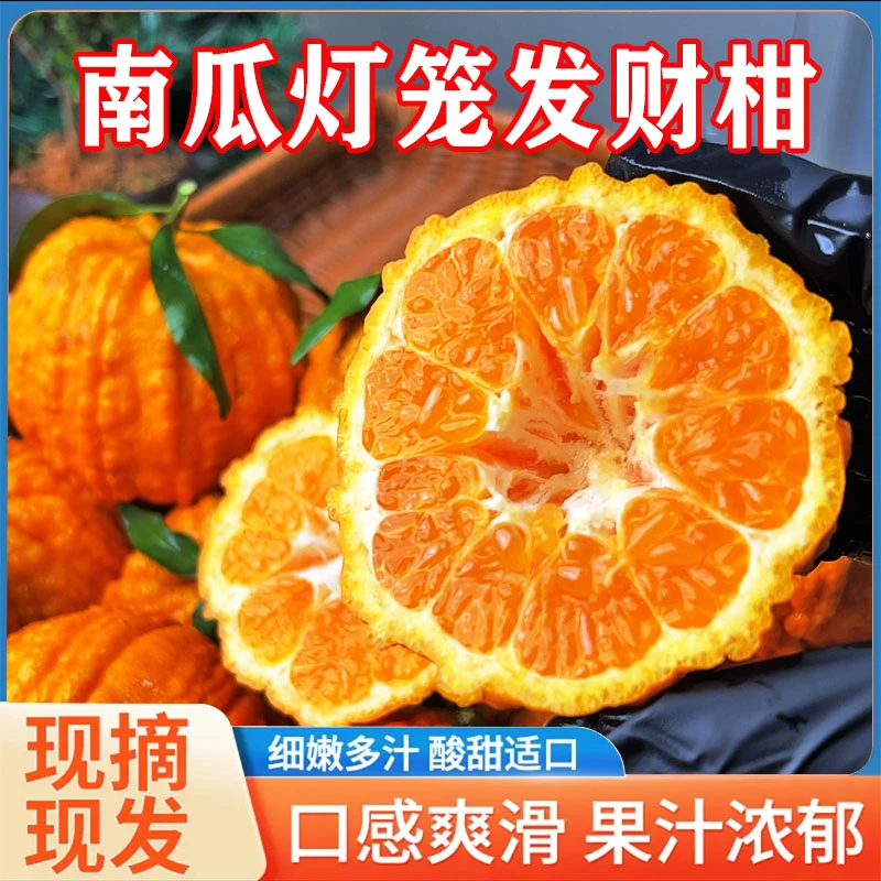 【礼盒装】新年送礼佳品实惠装南瓜柑灯笼柑孕妇应季水果新品种