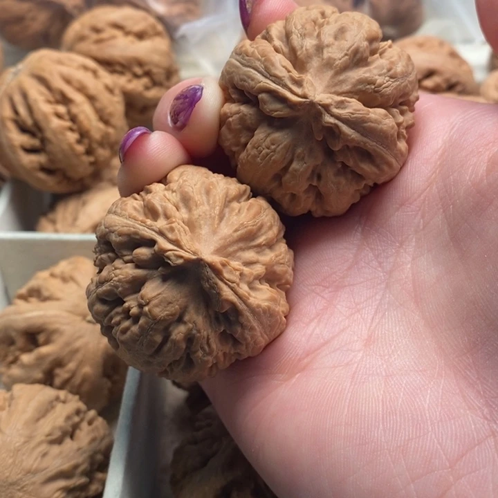 玛***丽霸王龙品无修一刀没动