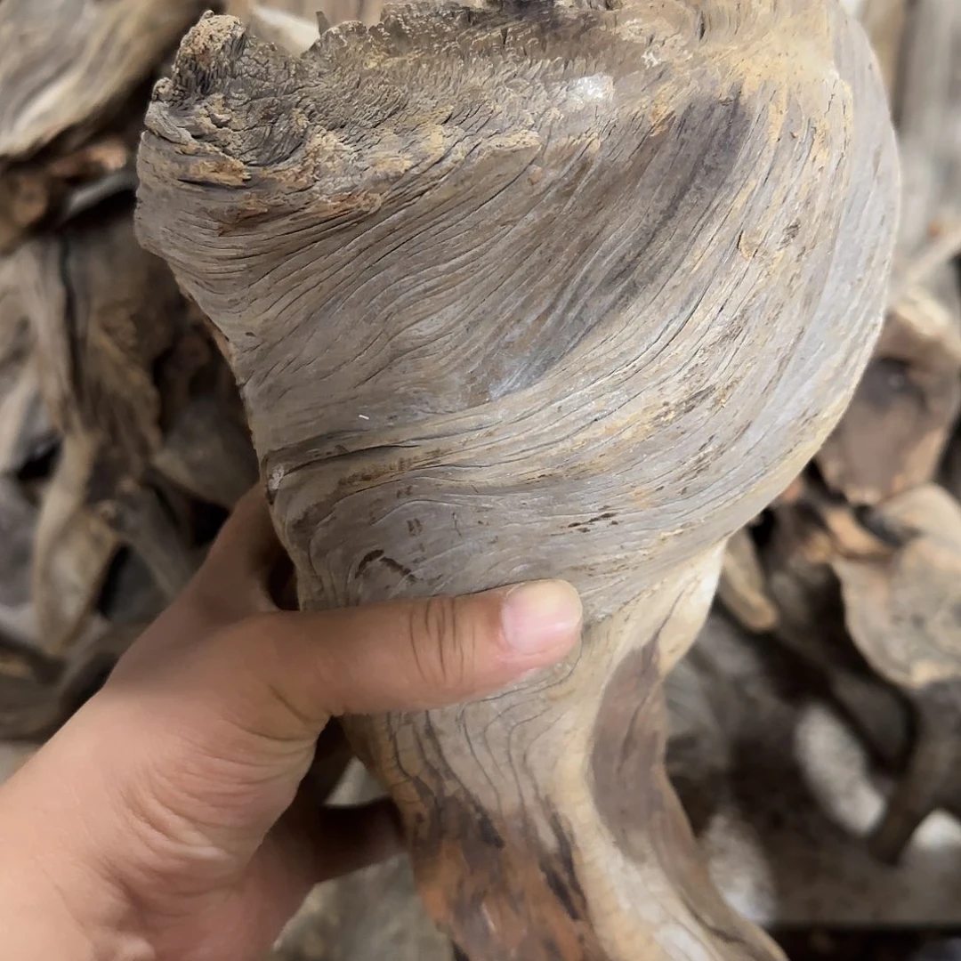 旺***行木陈化到位坨坨疙瘩