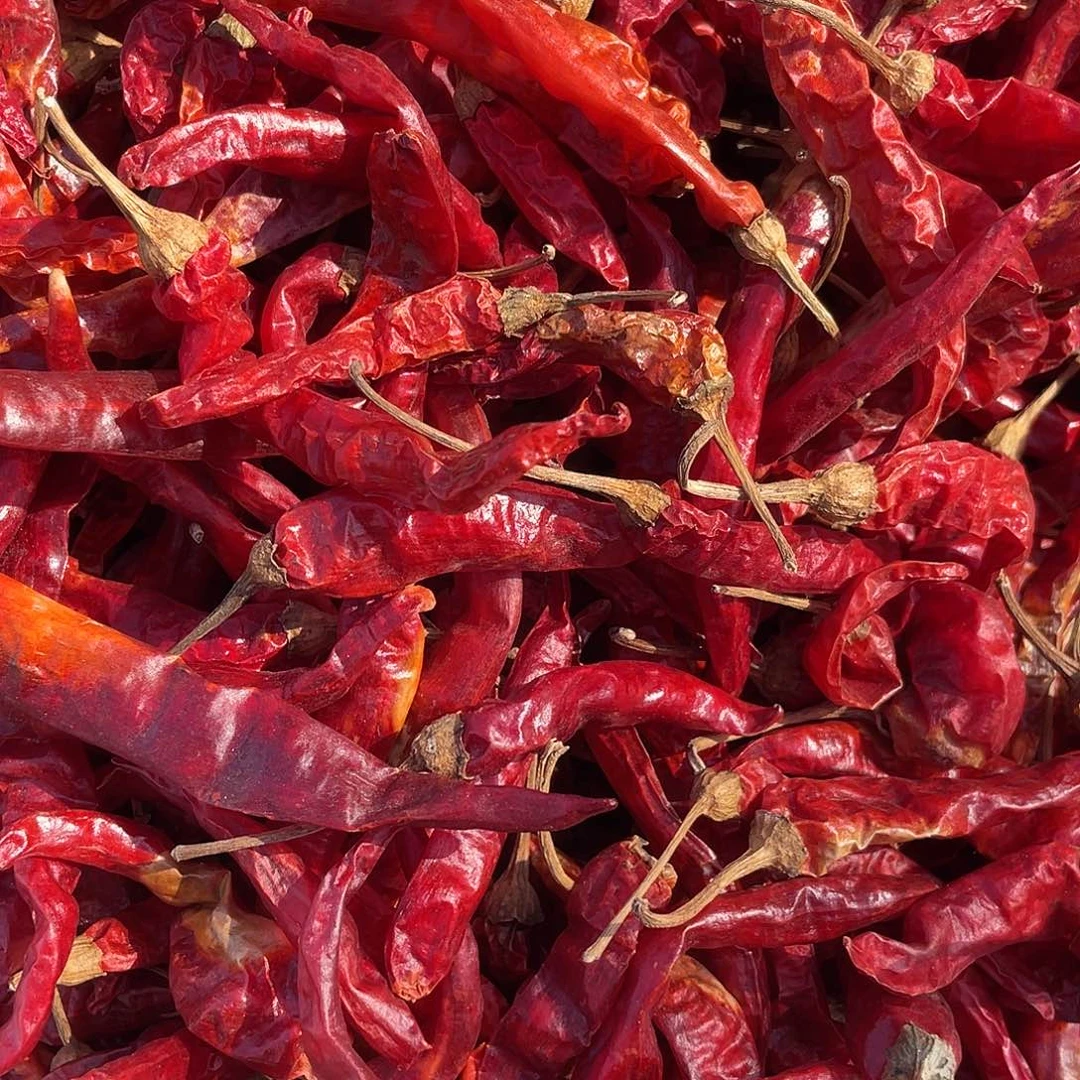 中国大陆干红辣椒薄皮的一斤包装