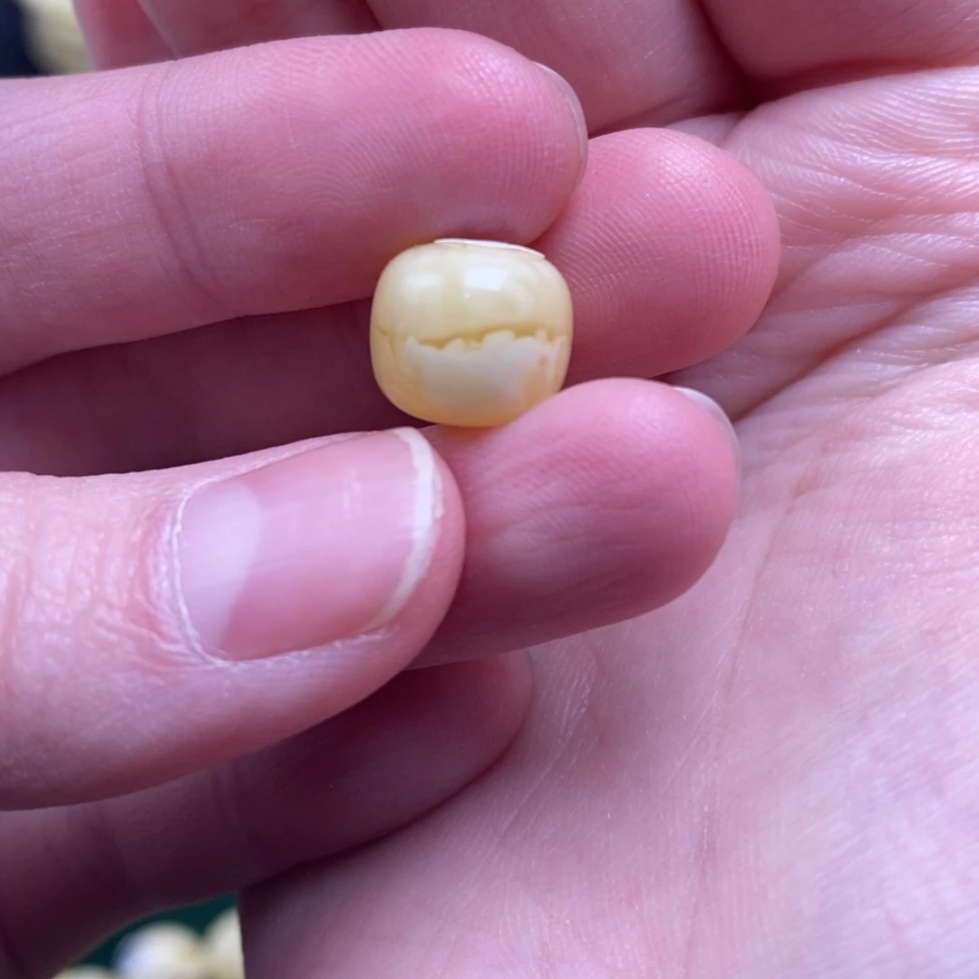 蜜蜡未镶嵌珠宝奇石10.8✖️9.8