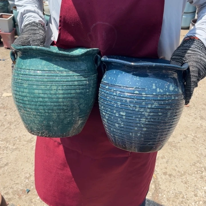 口20高20正品正品