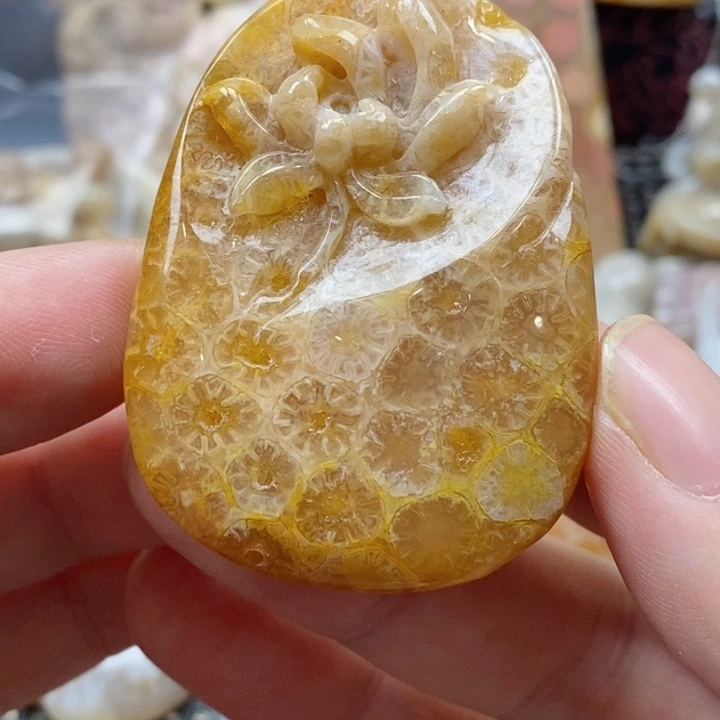硅化珊瑚（珊瑚玉）颈饰未镶嵌