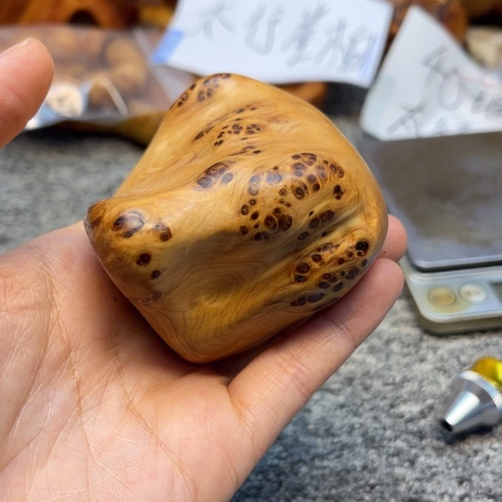 柏木（崖柏）崖柏98