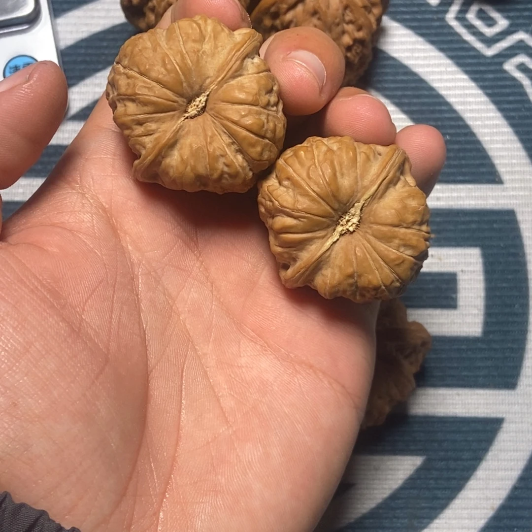 37尺全品南瓜墩白茬