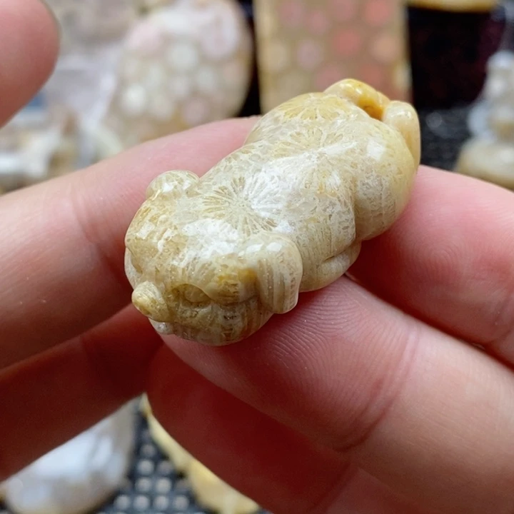 硅化珊瑚（珊瑚玉）颈饰未镶嵌