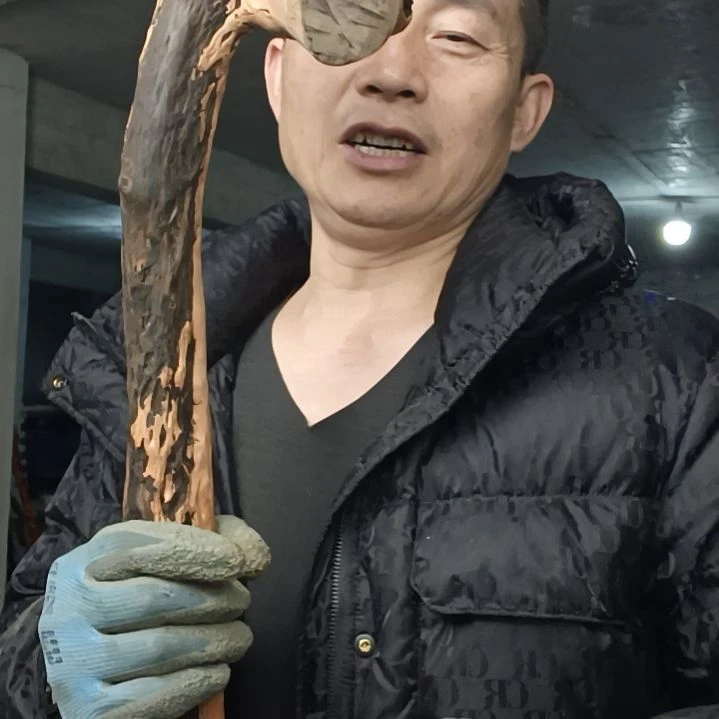 稳定木自***柴贵州檬子木   铁马鞭   根艺  半成品