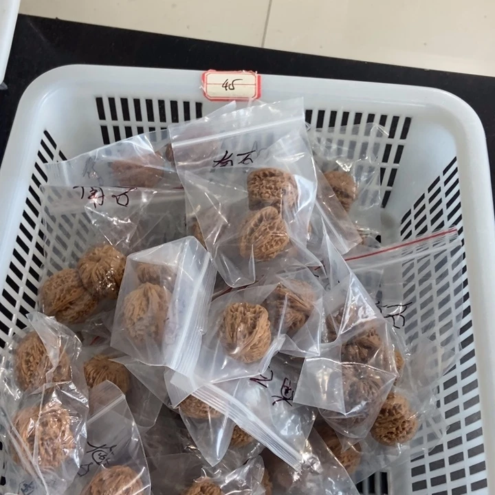 吊坠文玩核桃小南疆瑕疵