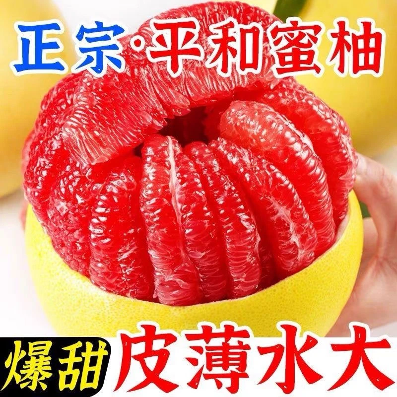 正宗福建平和蜜柚果园直采现发