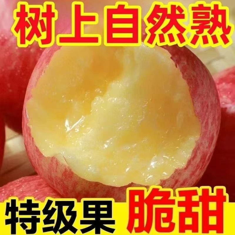 红富士苹果新鲜当季脆甜多汁冰糖心水果
