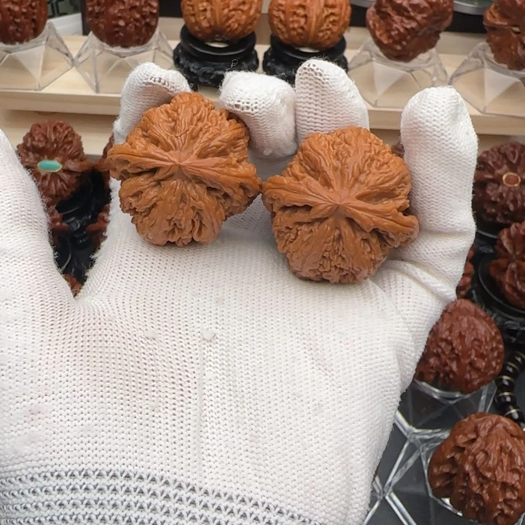 文玩核桃吊坠37全品粗筋