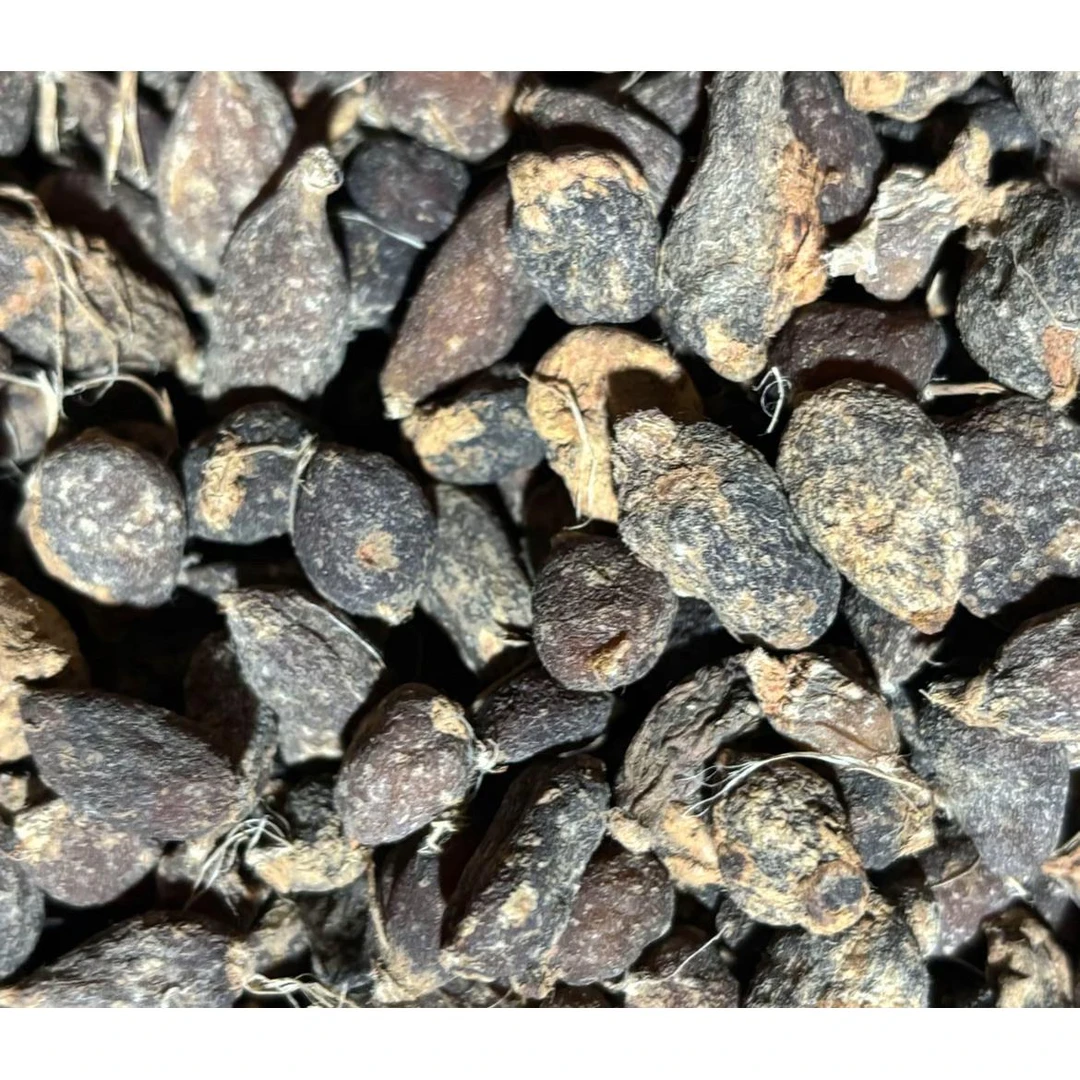 云南边境土特产～黑慈兰好物分享