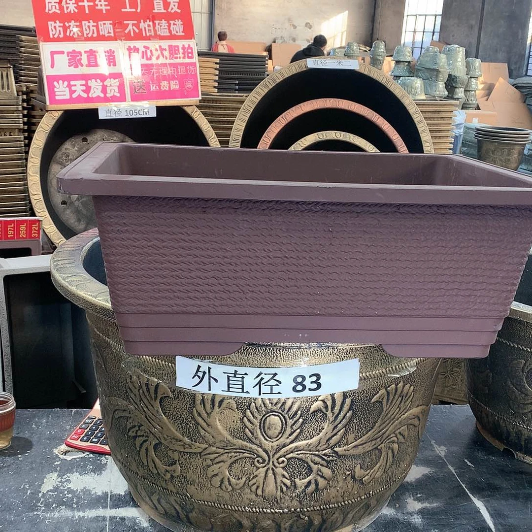 复合空***瓶花盆花开了一个人