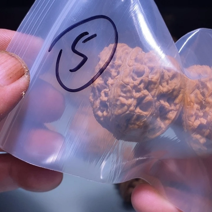 沂***手文玩核桃吊坠5呃呃呃