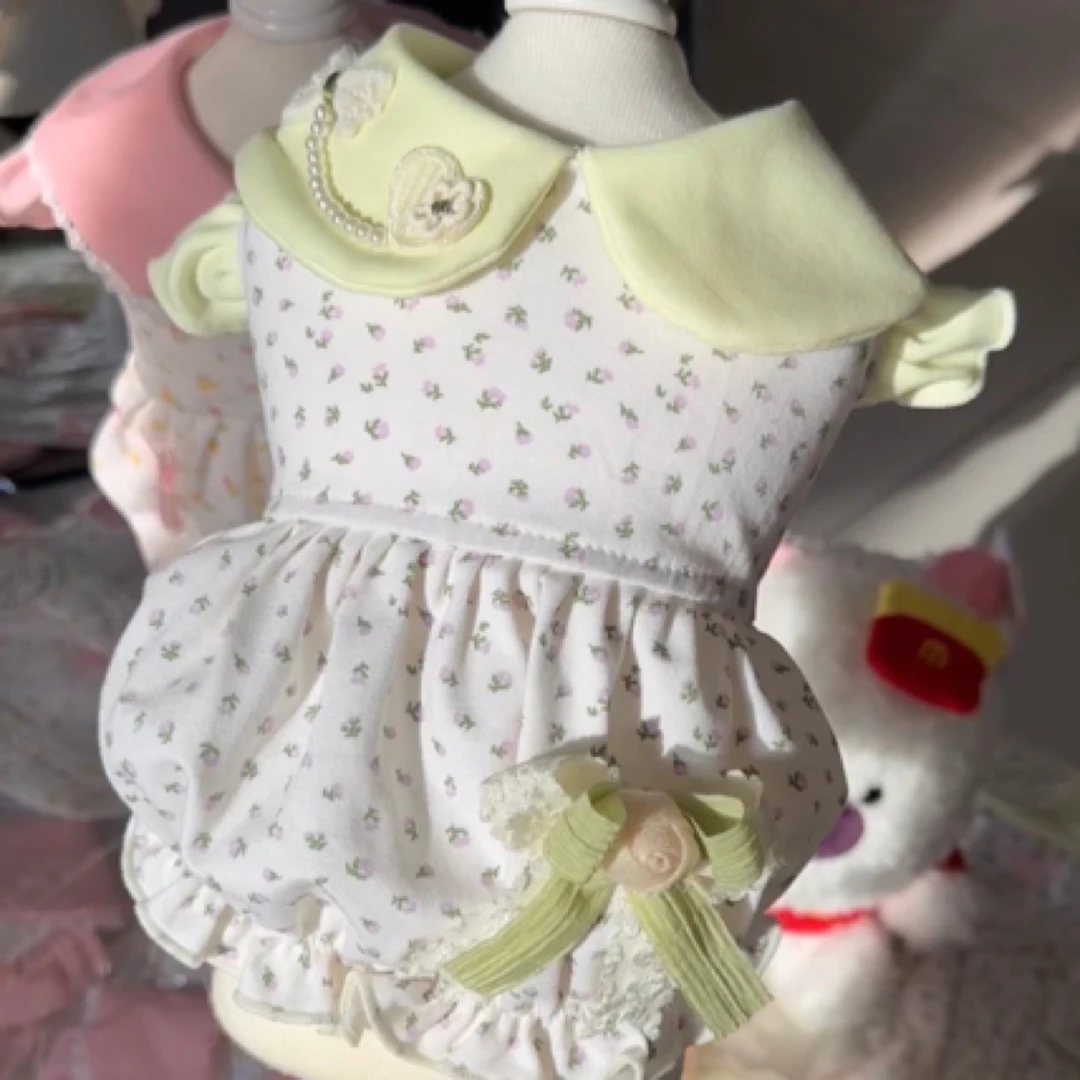 宠物衣服直播间过款 NO退NO换！无运费险！