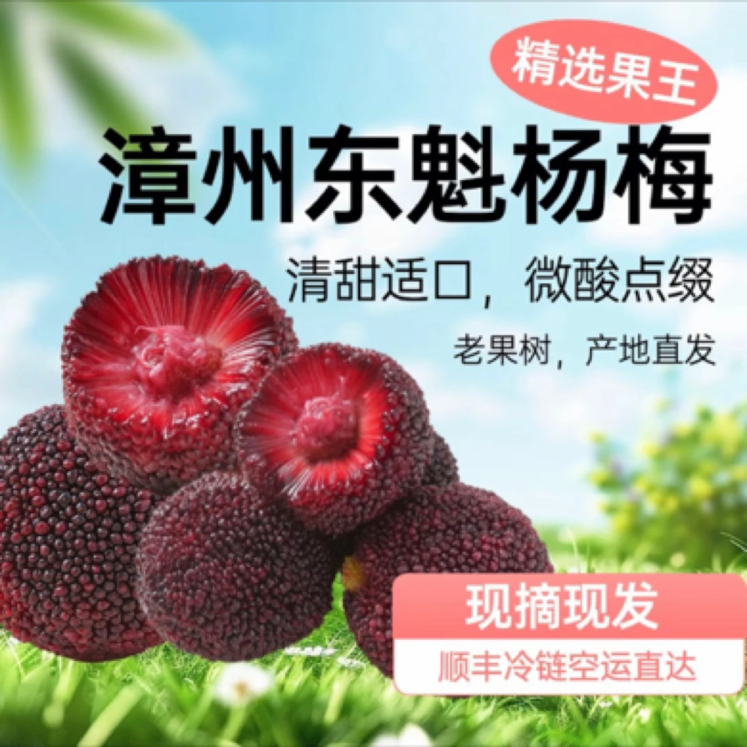 漳州龙海东魁杨梅 新鲜采摘酸甜可口爆汁！2斤！顺丰包邮！坏果包赔！应季水果！杨梅同城送新鲜杨梅福建省